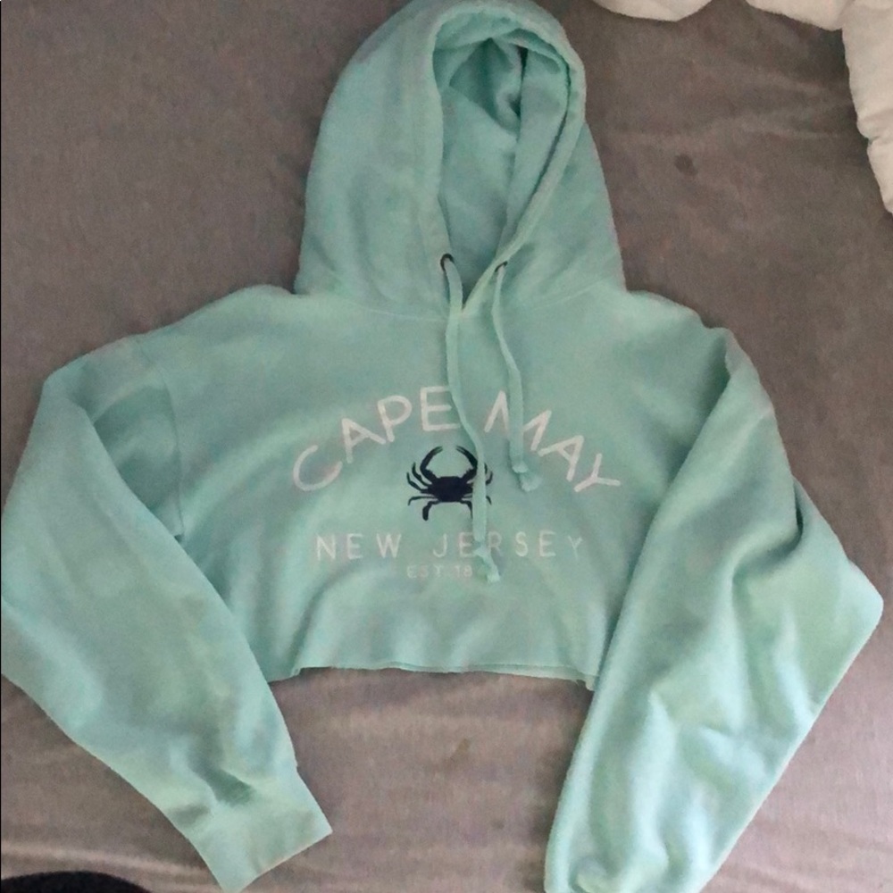 cute light teal cropped hoodie
